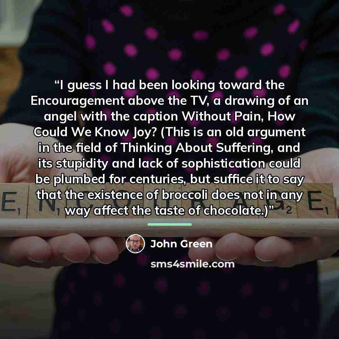 “I guess I had been looking toward the Encouragement above the TV, a drawing of an angel with the caption Without Pain, How Could We Know Joy? (This is an old argument in the field of Thinking About Suffering, and its stupidity and lack of sophistication could be plumbed for centuries, but suffice…” quote by John Green