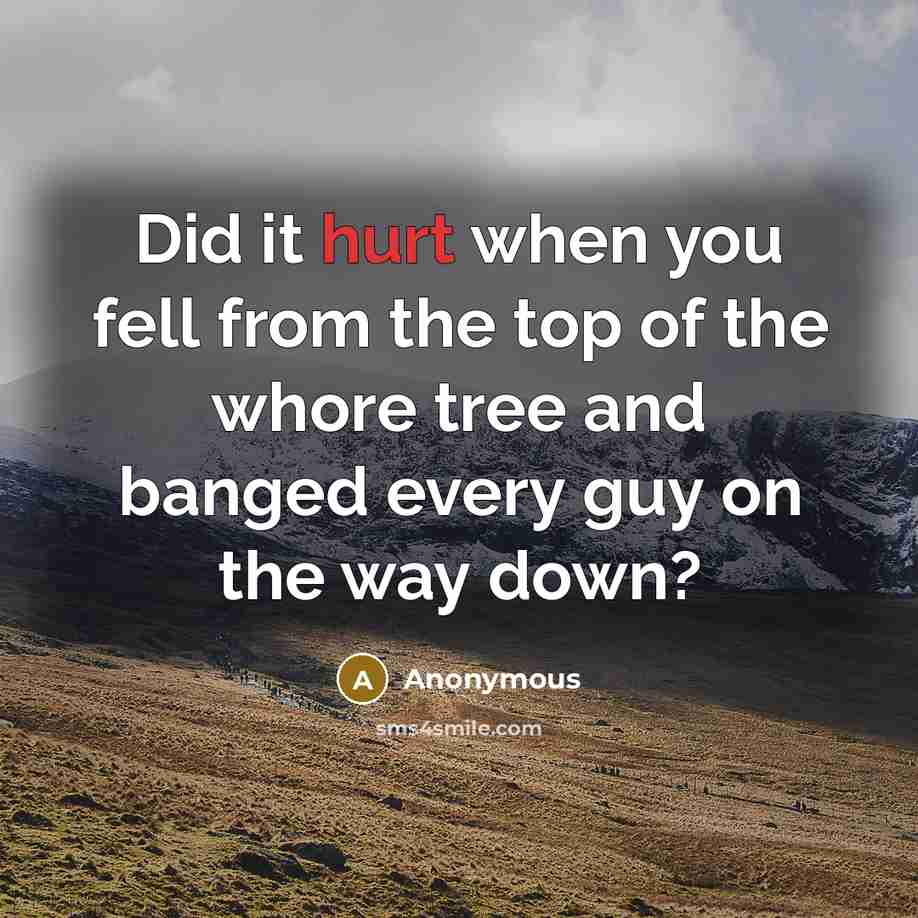 “Did it hurt when you fell from the top of the whore tree and banged every guy on the way down?” quote by Anonymous