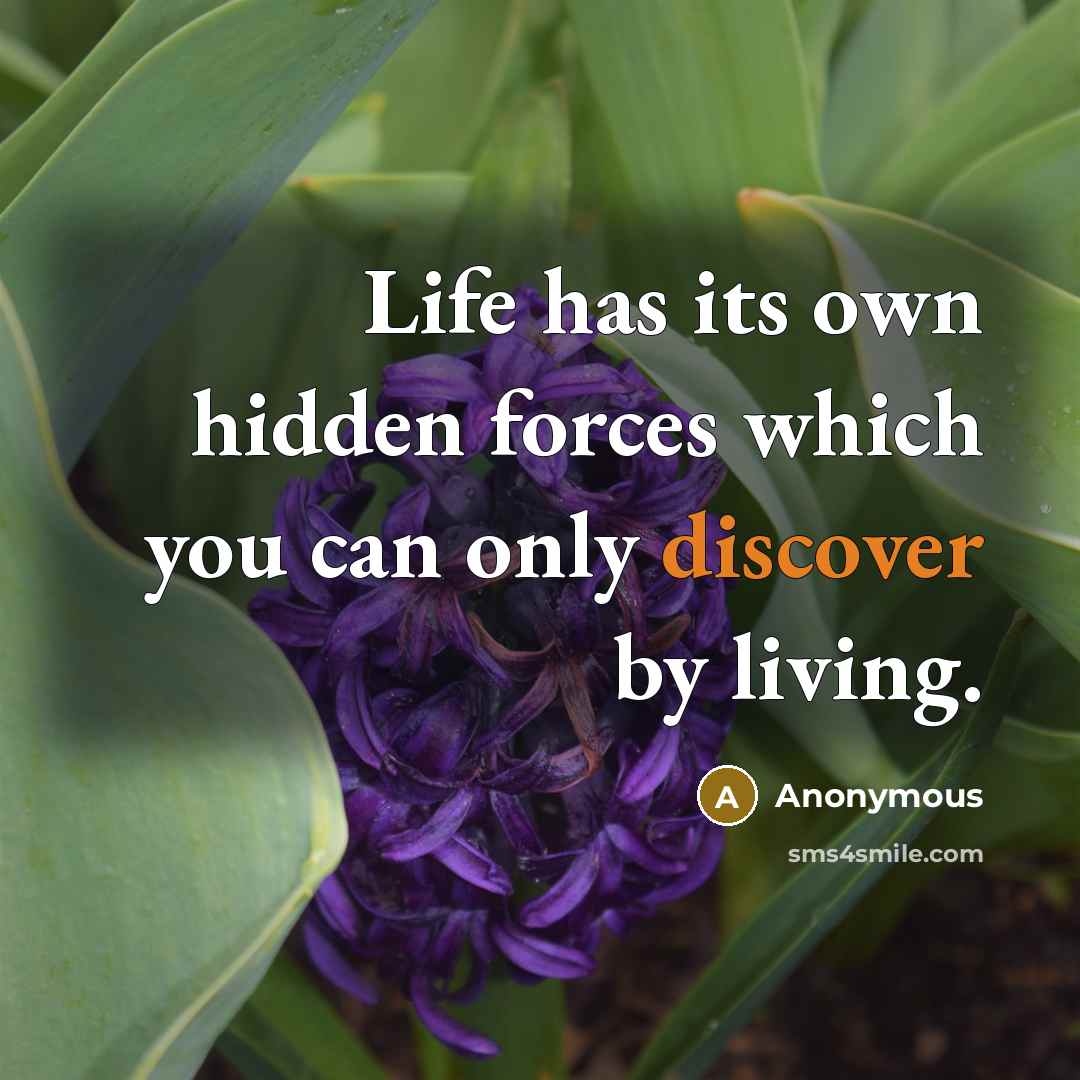 “Life has its own hidden forces which you can only discover by living.” quote by Anonymous