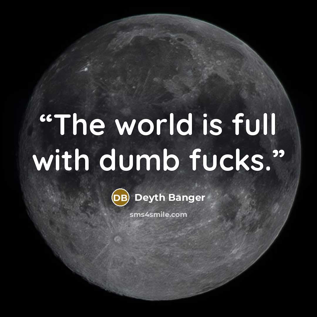 “The world is full with dumb fucks.” quote by Deyth Banger