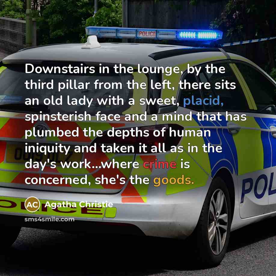 “Downstairs in the lounge, by the third pillar from the left, there sits an old lady with a sweet, placid, spinsterish face and a mind that has plumbed the depths of human iniquity and taken it all as in the day's work…where crime is concerned, she's the goods.” quote by Agatha Christie