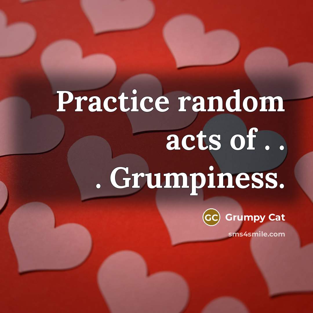 “Practice random acts of . . . Grumpiness.” quote by Grumpy Cat