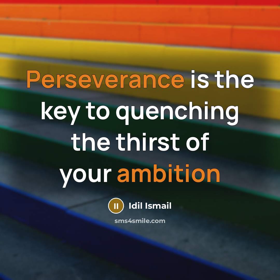 “Perseverance is the key to quenching the thirst of your ambition” quote by Idil Ismail