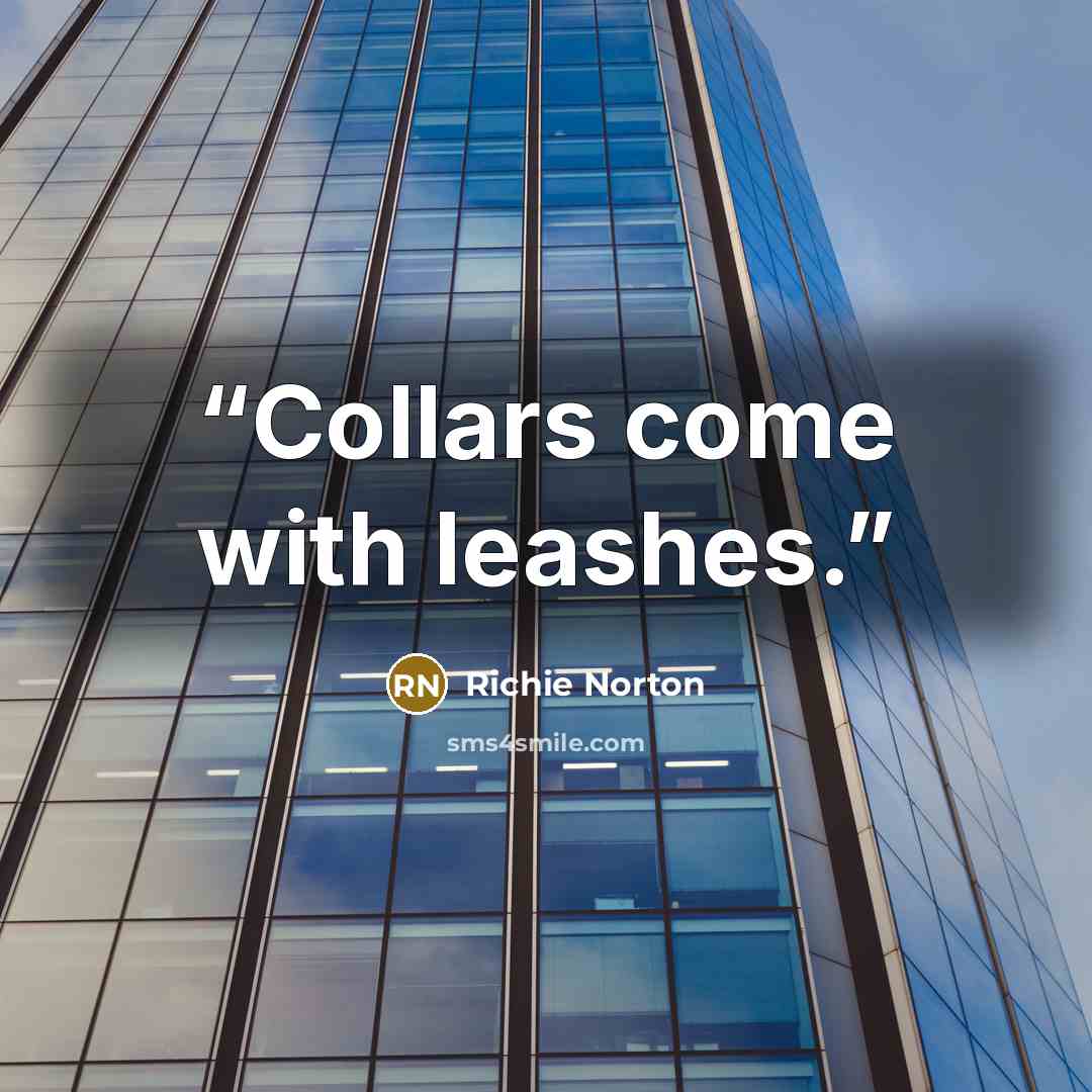 “Collars come with leashes.” quote by RICHIE NORTON