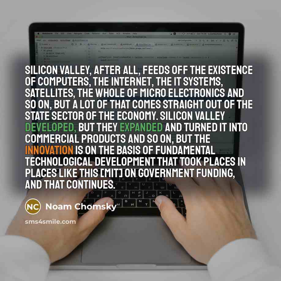 “Silicon Valley, after all, feeds off the existence of computers, the internet, the IT systems, satellites, the whole of micro electronics and so on, but a lot of that comes straight out of the state sector of the economy. Silicon Valley developed, but they expanded and turned it into commercial…” quote by Noam Chomsky