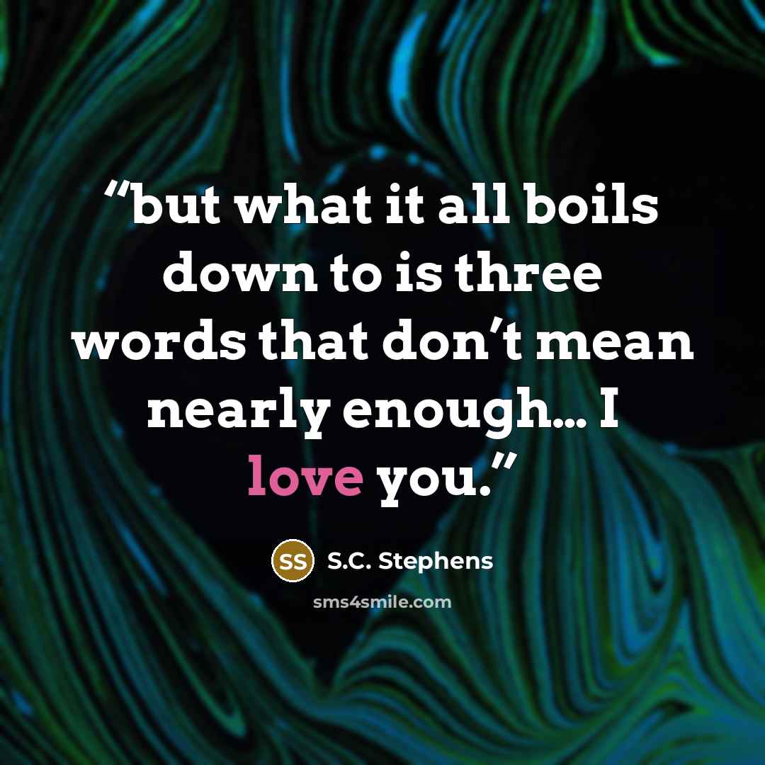 “but what it all boils down to is three words that don’t mean nearly enough… I love you.” quote by S.C. Stephens