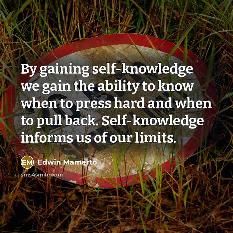 “By gaining self-knowledge we gain the ability to know when to press hard and when to pull back. Self-knowledge informs us of our limits.” quote by Edwin Mamerto