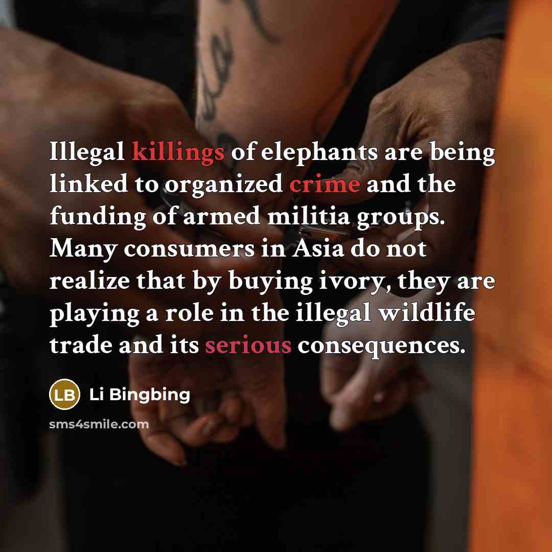 “Illegal killings of elephants are being linked to organized crime and the funding of armed militia groups. Many consumers in Asia do not realize that by buying ivory, they are playing a role in the illegal wildlife trade and its serious consequences.” quote by Li Bingbing