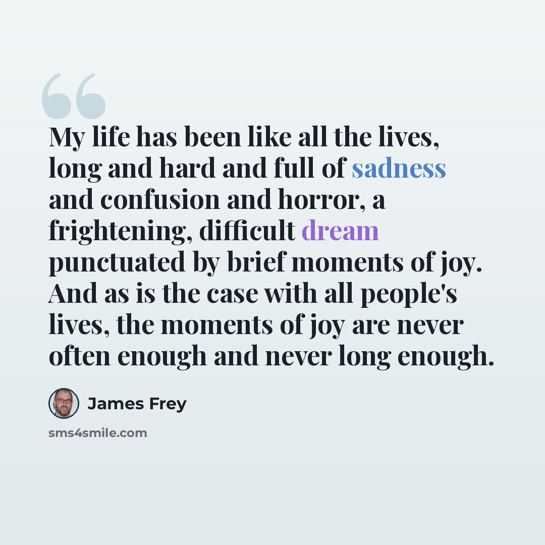 “My life has been like all the lives, long and hard and full of sadness and confusion and horror, a frightening, difficult dream punctuated by brief moments of joy. And as is the case with all people's lives, the moments of joy are never often enough and never long enough.” quote by James Frey