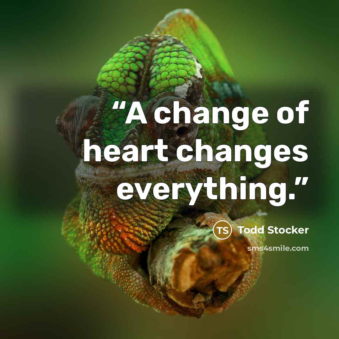“A change of heart changes everything.” quote by Todd Stocker