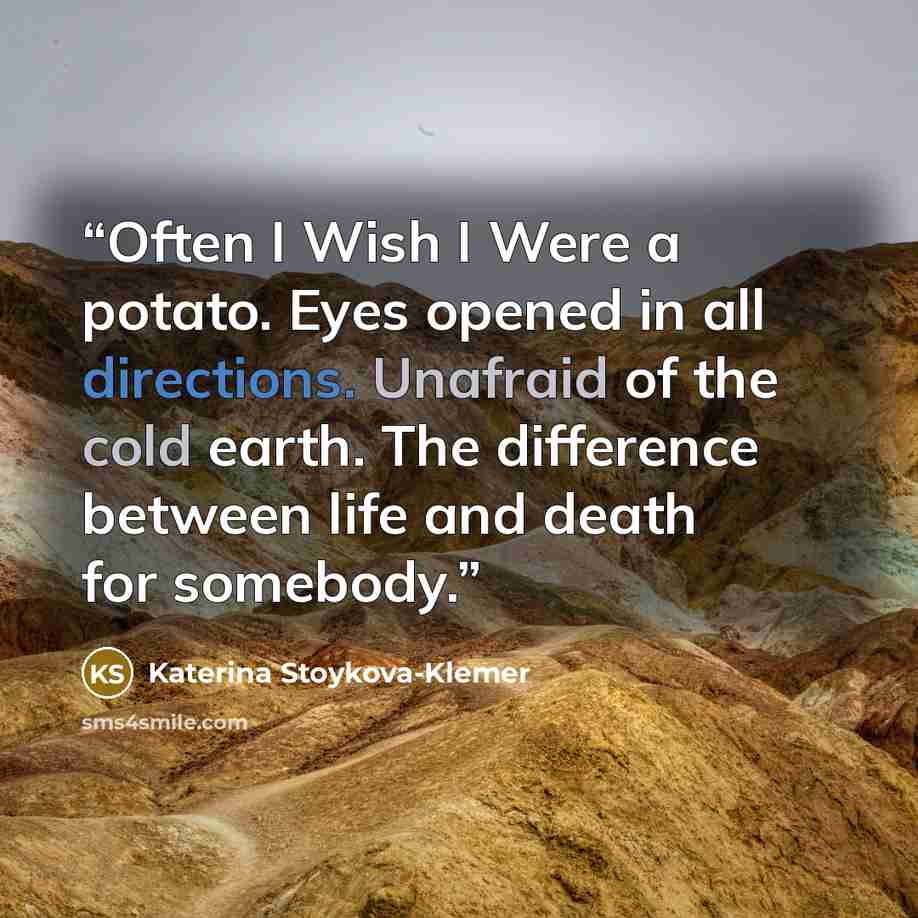 “Often I Wish I Were a potato. Eyes opened in all directions. Unafraid of the cold earth. The difference between life and death for somebody.” quote by Katerina Stoykova-Klemer