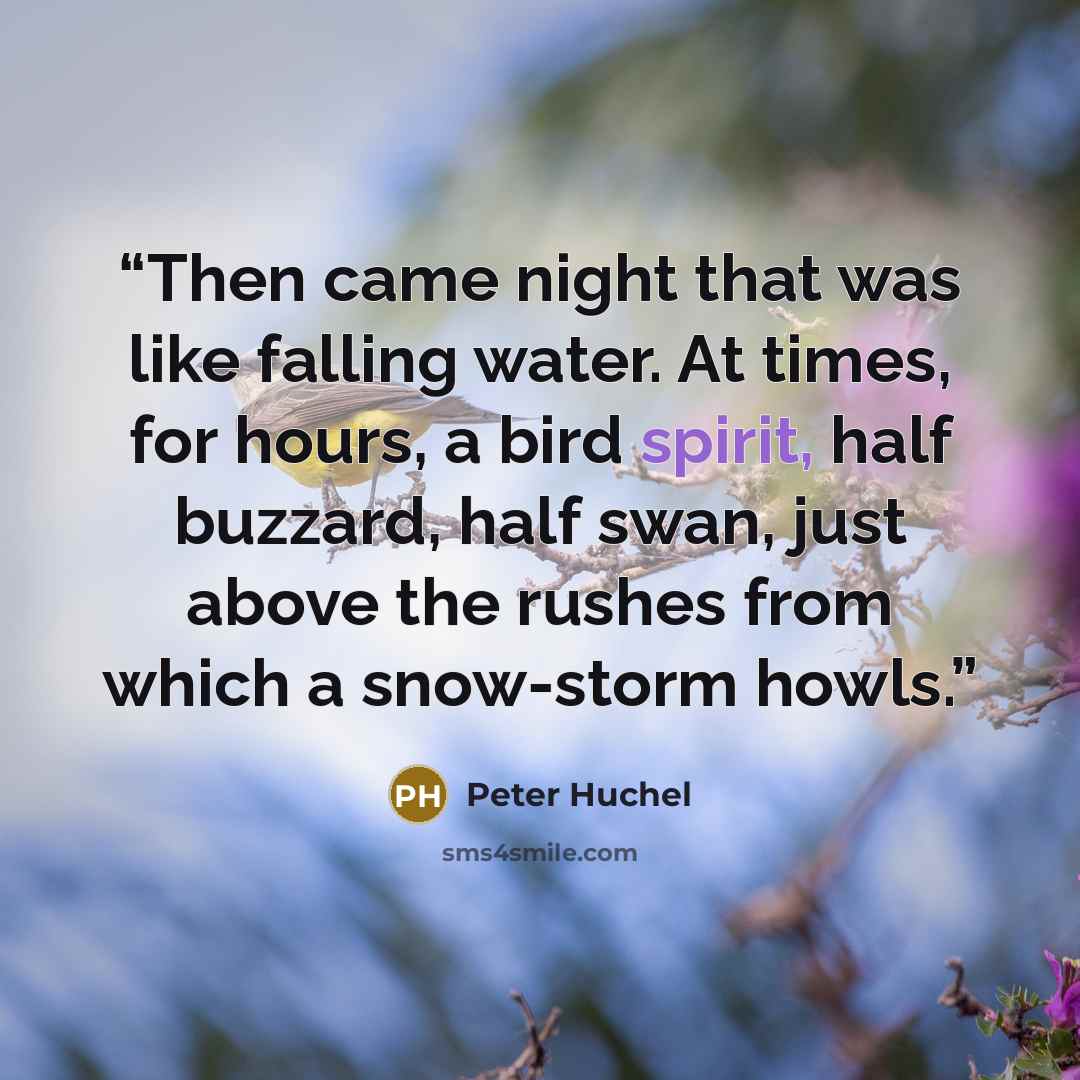 “Then came night that was like falling water. At times, for hours, a bird spirit, half buzzard, half swan, just above the rushes from which a snow-storm howls.” quote by Peter Huchel