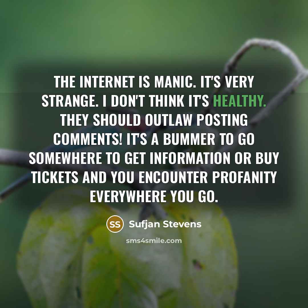 “The Internet is manic. It's very strange. I don't think it's healthy. They should outlaw posting comments! It's a bummer to go somewhere to get information or buy tickets and you encounter profanity everywhere you go.” quote by Sufjan Stevens