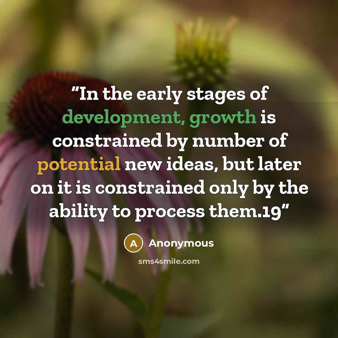 “In the early stages of development, growth is constrained by number of potential new ideas, but later on it is constrained only by the ability to process them.19” quote by Anonymous
