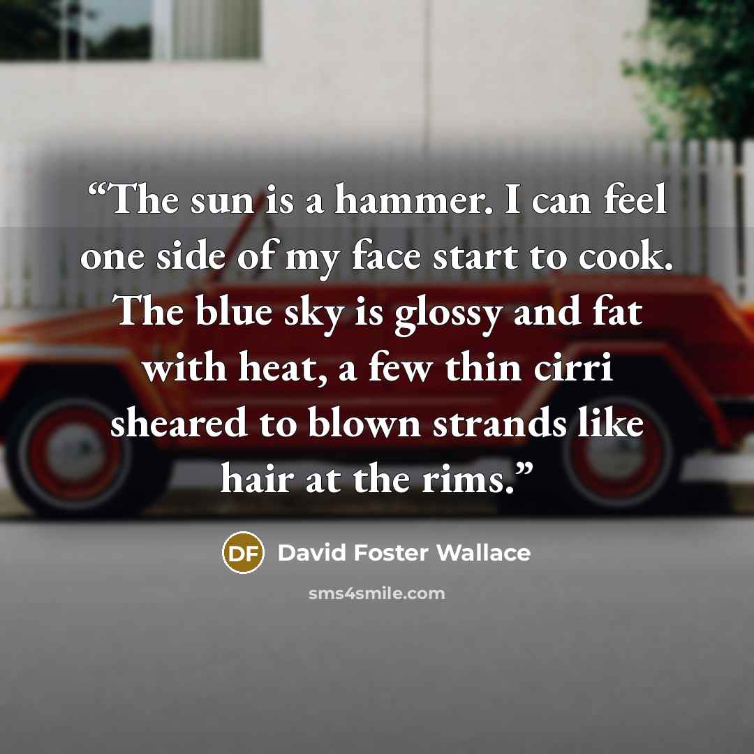 “The sun is a hammer. I can feel one side of my face start to cook. The blue sky is glossy and fat with heat, a few thin cirri sheared to blown strands like hair at the rims.” quote by David Foster Wallace