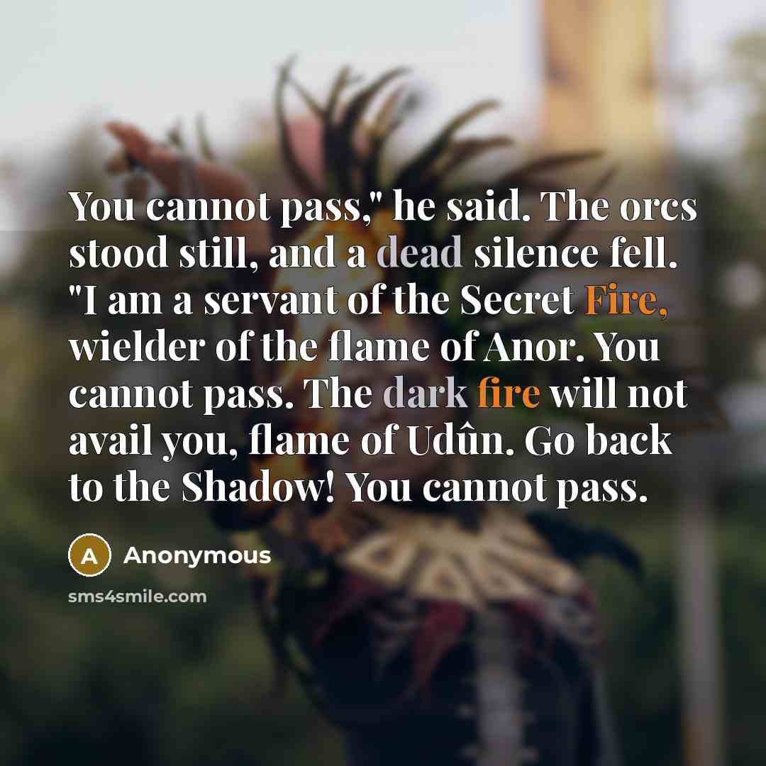 “You cannot pass," he said. The orcs stood still, and a dead silence fell. "I am a servant of the Secret Fire, wielder of the flame of Anor. You cannot pass. The dark fire will not avail you, flame of Udûn. Go back to the Shadow! You cannot pass.” quote by Anonymous