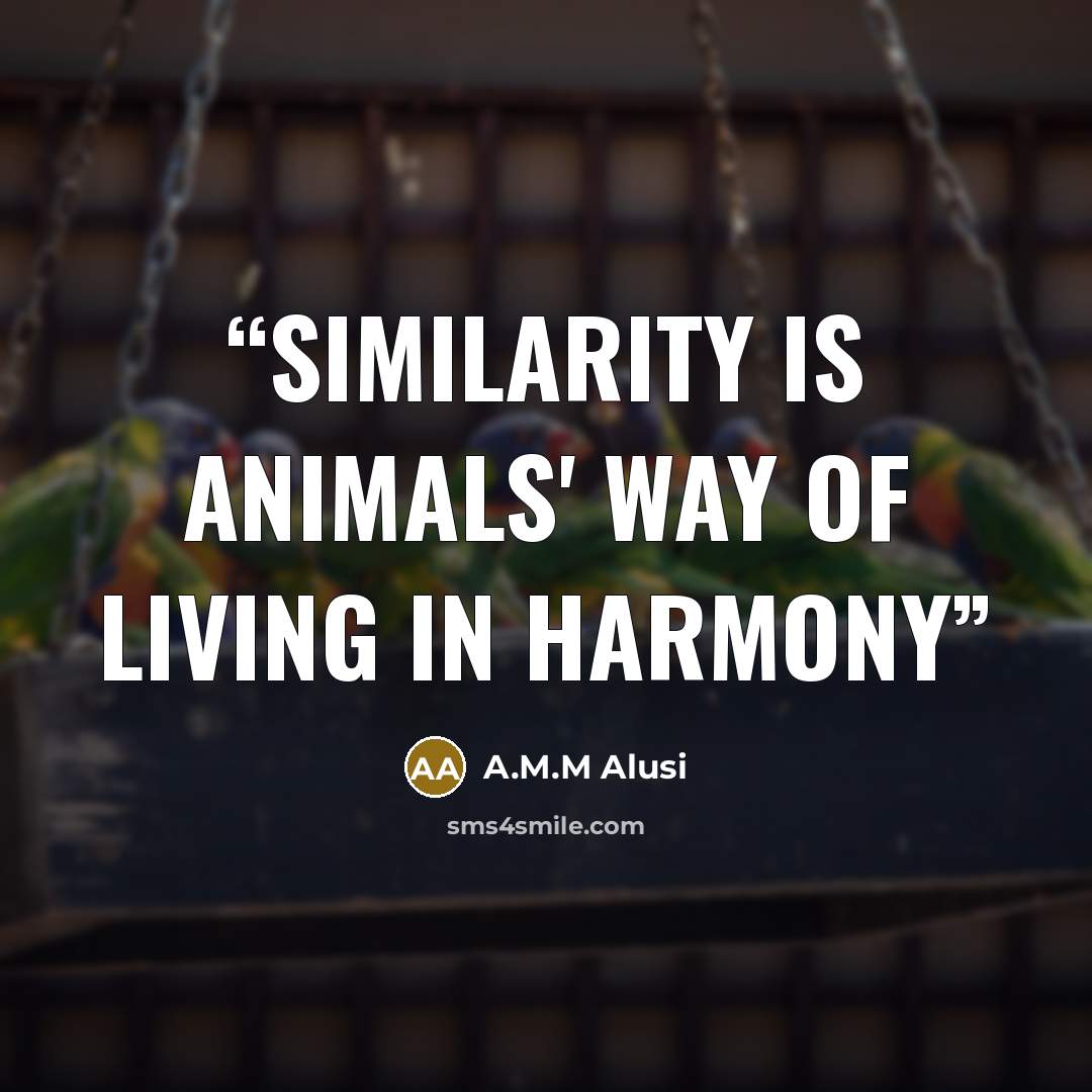 “similarity is animals' way of living in harmony” quote by A.M.M Alusi