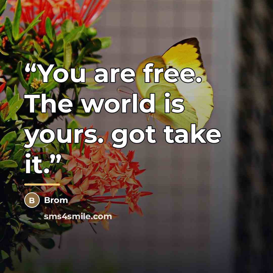 “You are free. The world is yours. got take it.” quote by Brom