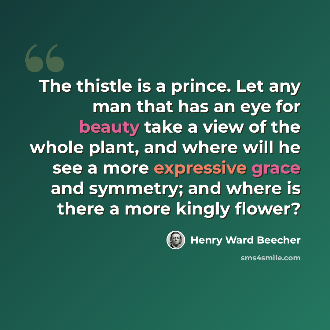“The thistle is a prince. Let any man that has an eye for beauty take a view of the whole plant, and where will he see a more expressive grace and symmetry; and where is there a more kingly flower?” quote by Henry Ward Beecher