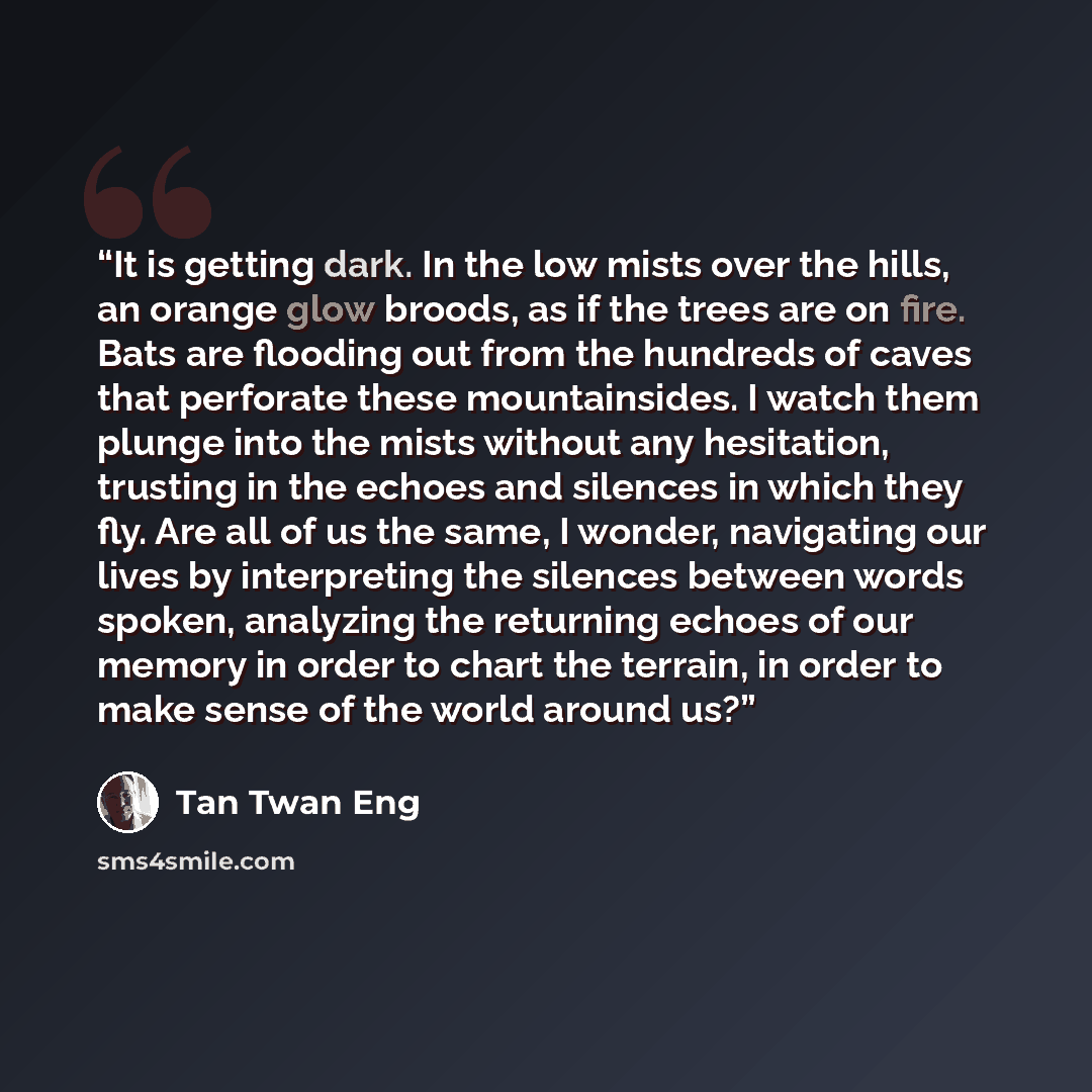 “It is getting dark. In the low mists over the hills, an orange glow broods, as if the trees are on fire. Bats are flooding out from the hundreds of caves that perforate these mountainsides. I watch them plunge into the mists without any hesitation, trusting in the echoes and silences in which they…” quote by Tan Twan Eng