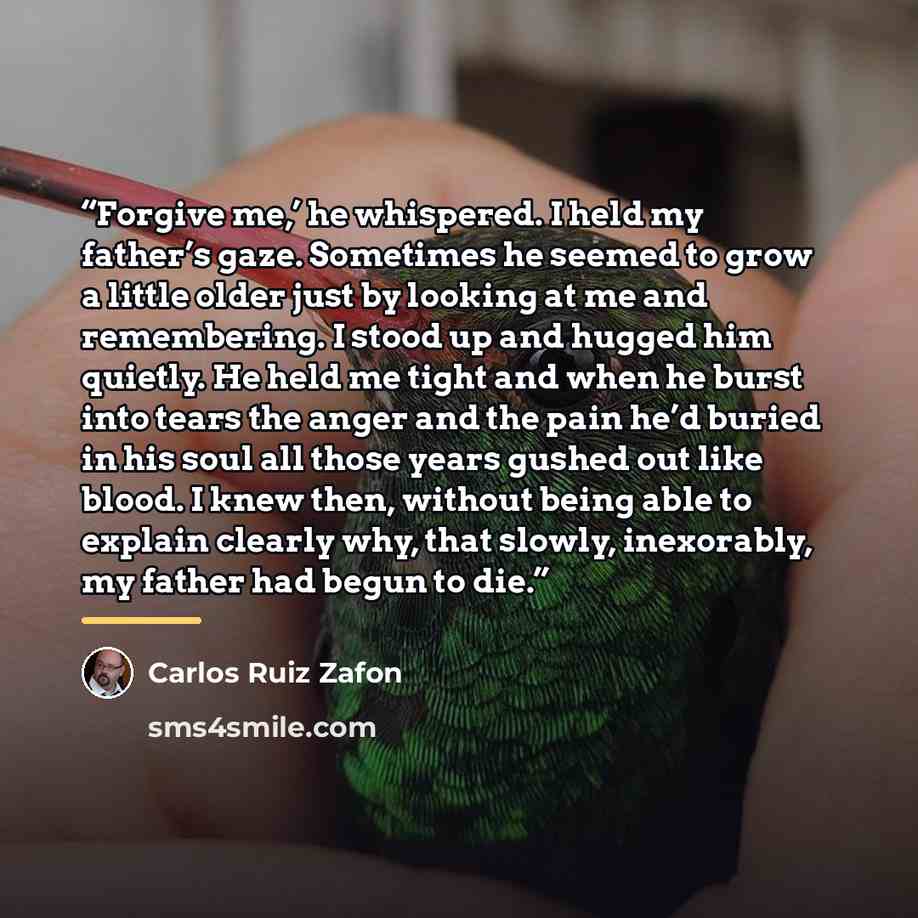“Forgive me,’ he whispered. I held my father’s gaze. Sometimes he seemed to grow a little older just by looking at me and remembering. I stood up and hugged him quietly. He held me tight and when he burst into tears the anger and the pain he’d buried in his soul all those years gushed out like…” quote by Carlos Ruiz Zafón