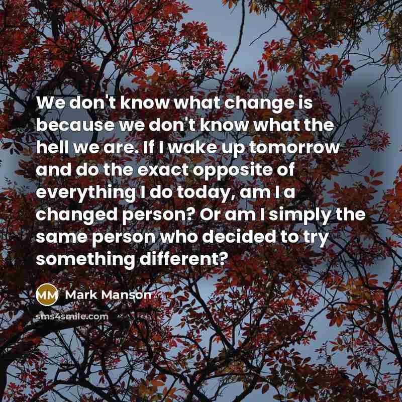 “We don't know what change is because we don't know what the hell we are. If I wake up tomorrow and do the exact opposite of everything I do today, am I a changed person? Or am I simply the same person who decided to try something different?” quote by Mark Manson