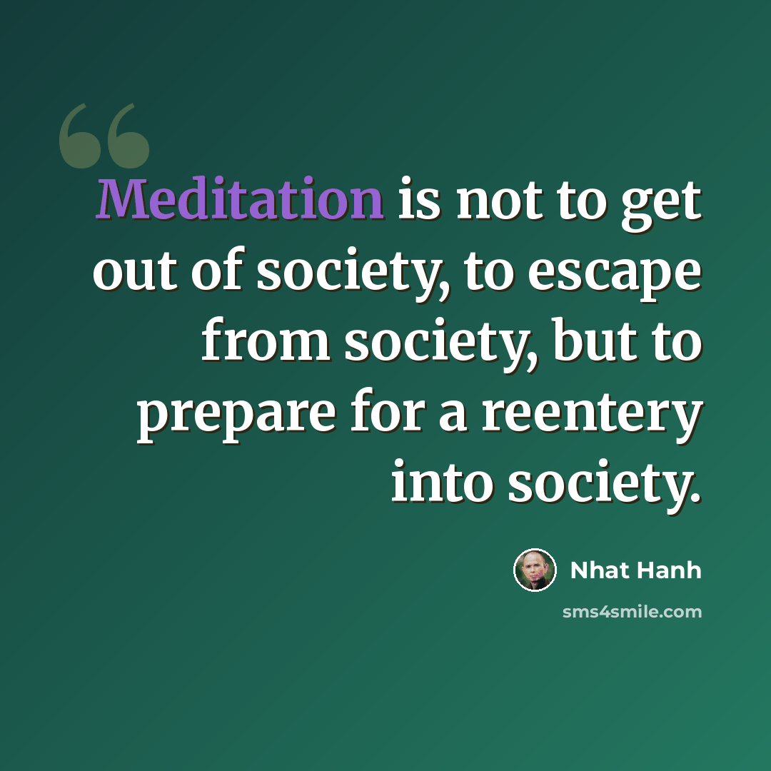 “Meditation is not to get out of society, to escape from society, but to prepare for a reentery into society.” quote by Nhat Hanh