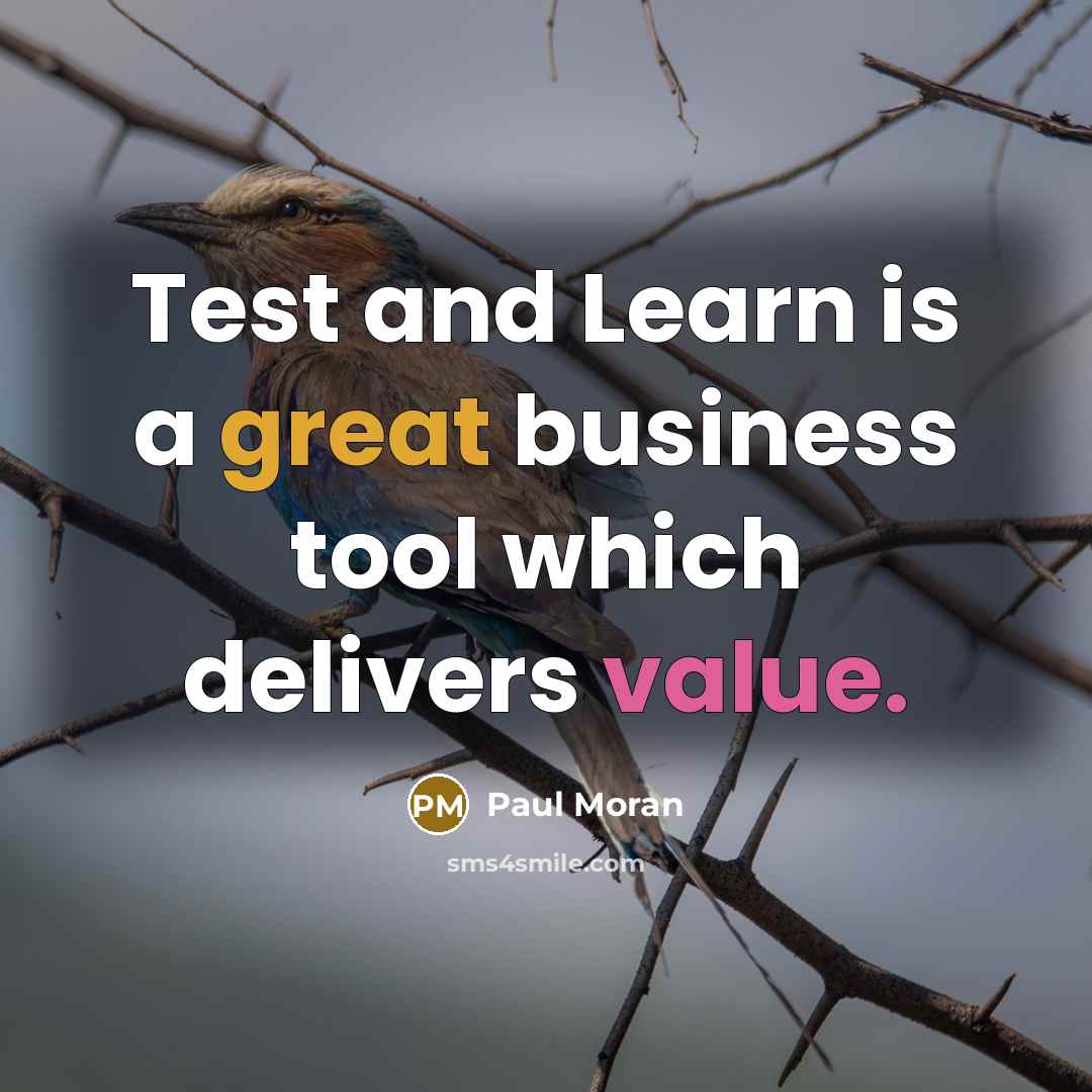 “Test and Learn is a great business tool which delivers value.” quote by Paul Moran