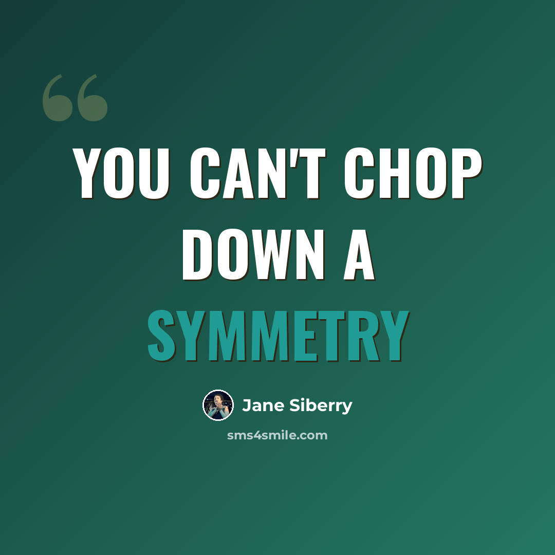 “You can't chop down a symmetry” quote by Jane Siberry