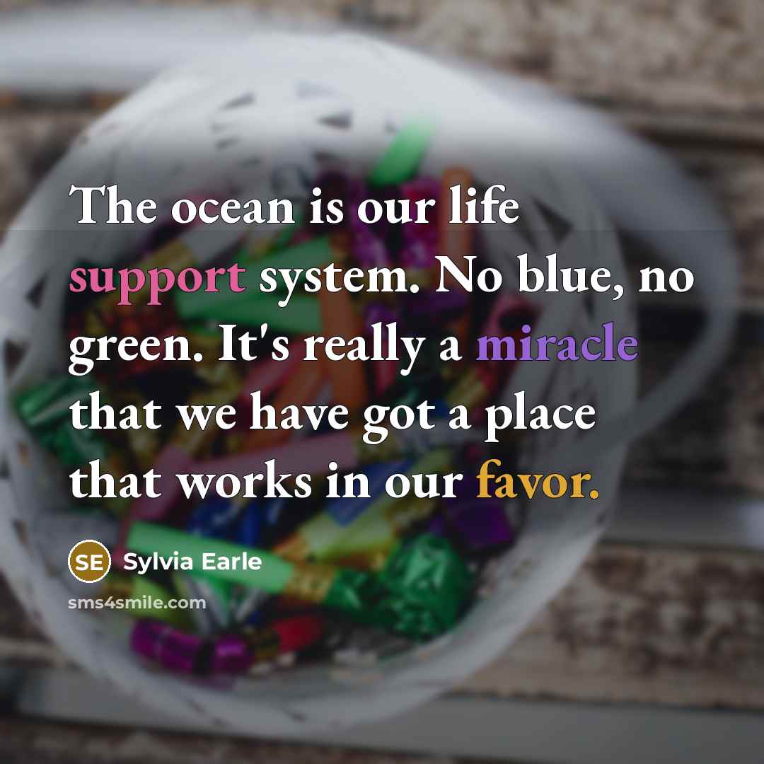 “The ocean is our life support system. No blue, no green. It's really a miracle that we have got a place that works in our favor.” quote by Sylvia Earle