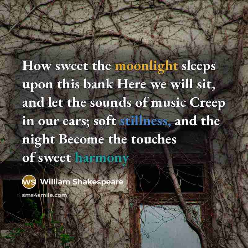 “How sweet the moonlight sleeps upon this bank Here we will sit, and let the sounds of music Creep in our ears; soft stillness, and the night Become the touches of sweet harmony” quote by William Shakespeare