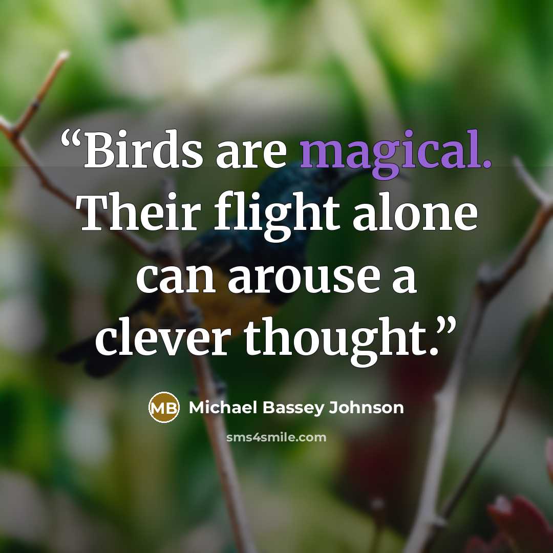 “Birds are magical. Their flight alone can arouse a clever thought.” quote by Michael Bassey Johnson
