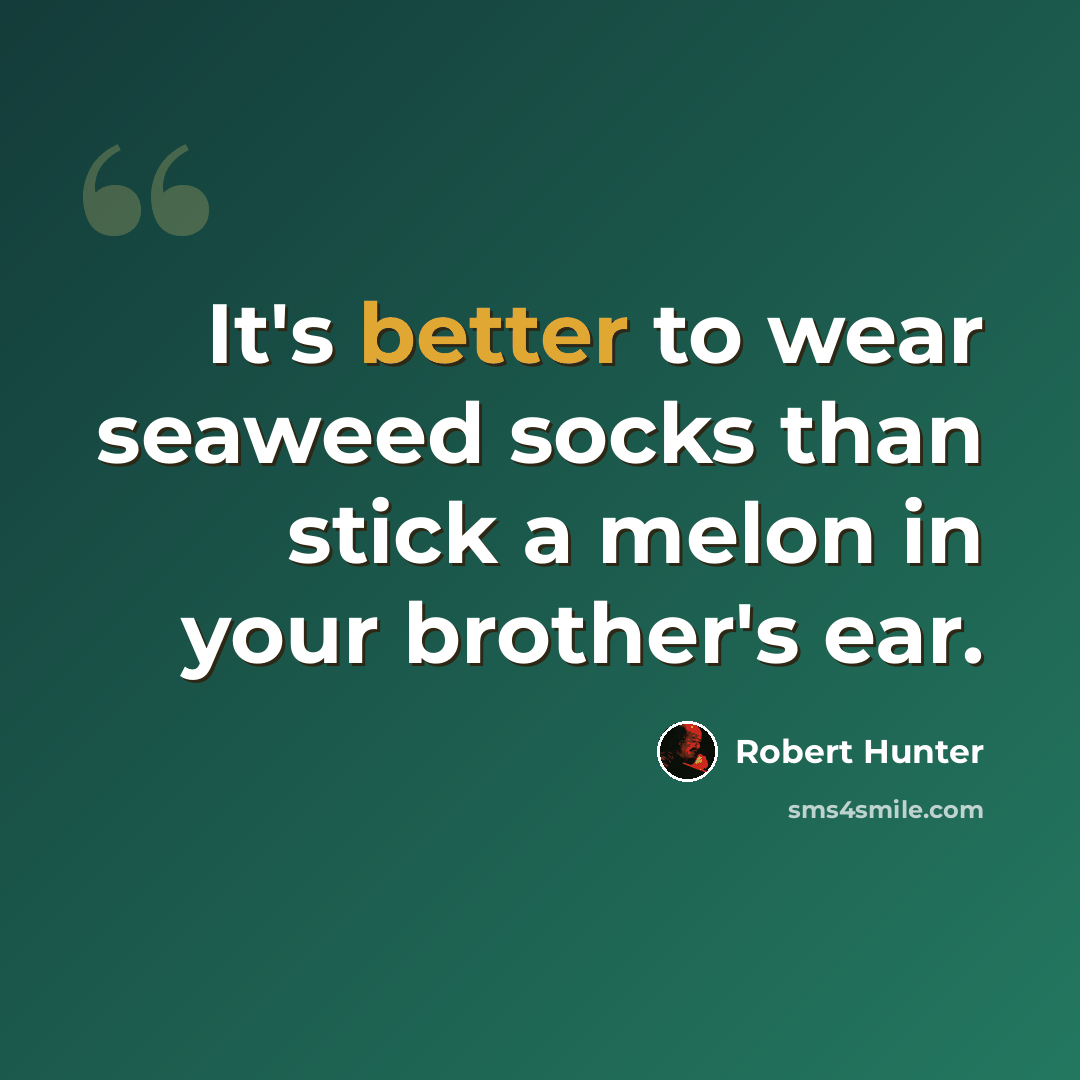 “It's better to wear seaweed socks than stick a melon in your brother's ear.” quote by Robert Hunter