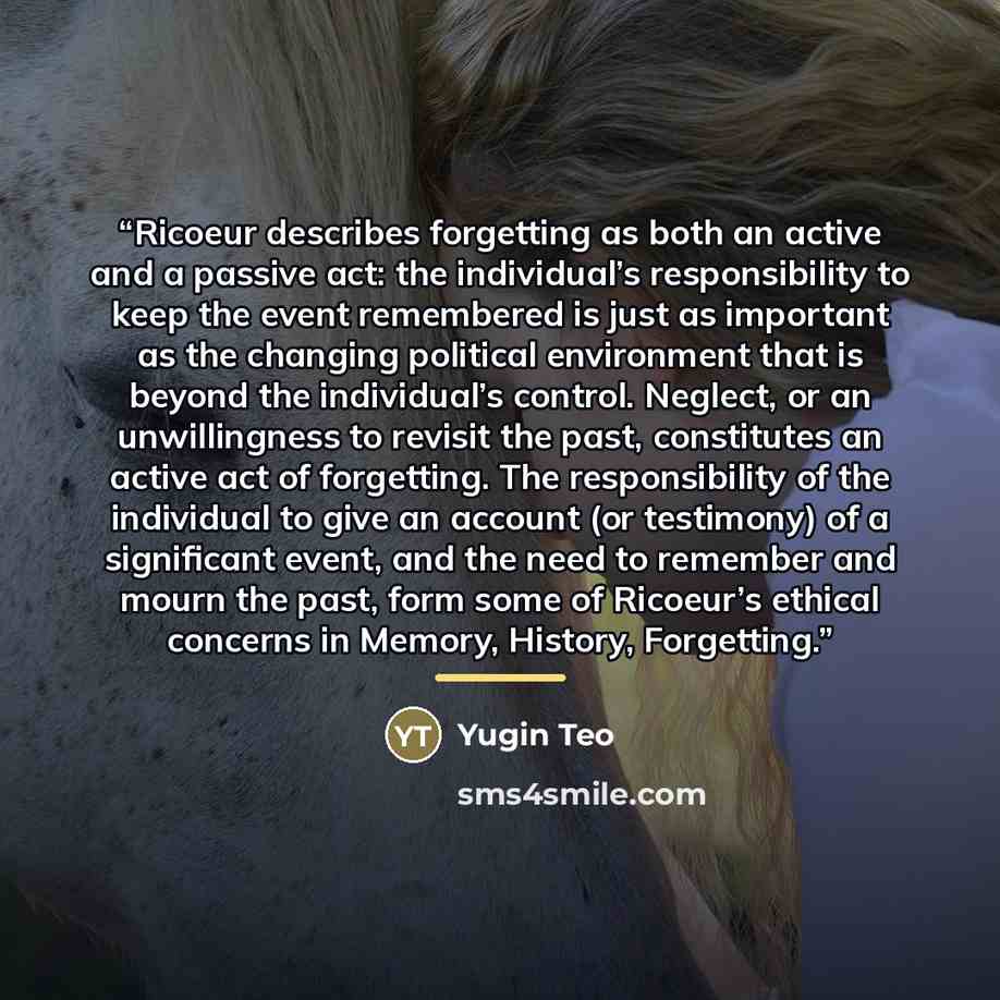 “Ricoeur describes forgetting as both an active and a passive act: the individual’s responsibility to keep the event remembered is just as important as the changing political environment that is beyond the individual’s control. Neglect, or an unwillingness to revisit the past, constitutes an active…” quote by Yugin Teo