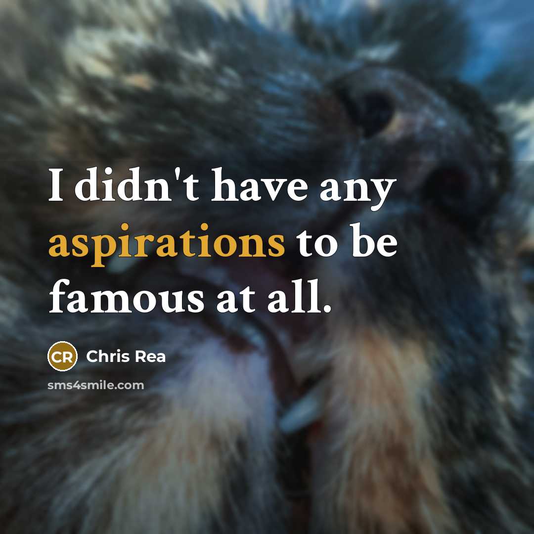 “I didn't have any aspirations to be famous at all.” quote by Chris Rea