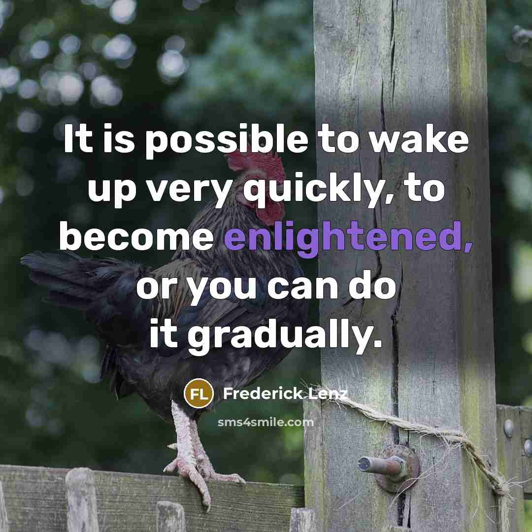“It is possible to wake up very quickly, to become enlightened, or you can do it gradually.” quote by Frederick Lenz