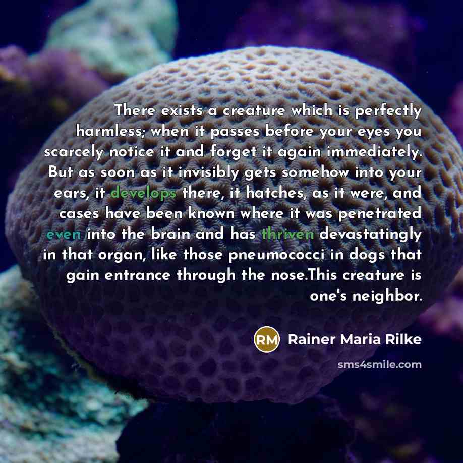 “There exists a creature which is perfectly harmless; when it passes before your eyes you scarcely notice it and forget it again immediately. But as soon as it invisibly gets somehow into your ears, it develops there, it hatches, as it were, and cases have been known where it was penetrated even…” quote by Rainer Maria Rilke