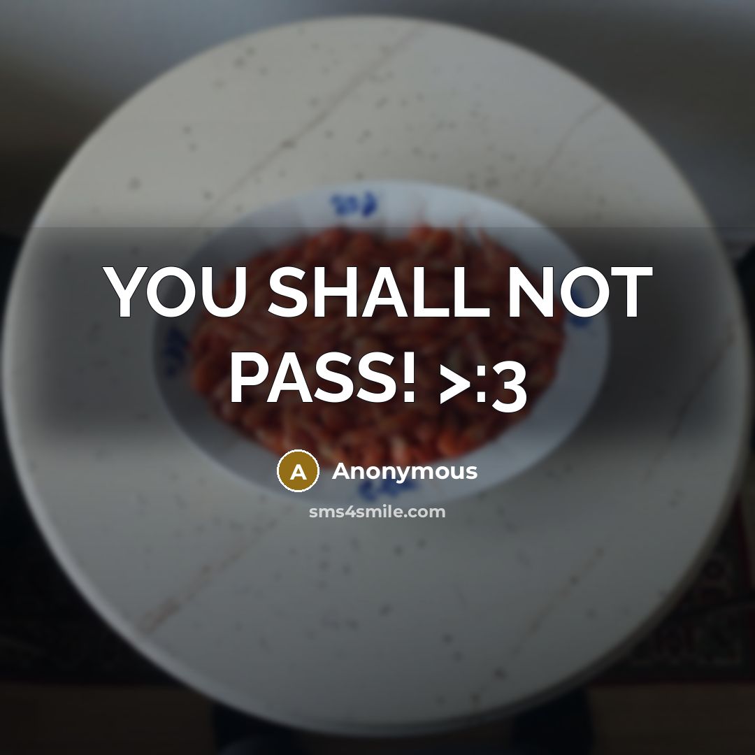 “YOU SHALL NOT PASS! >:3” quote by Anonymous