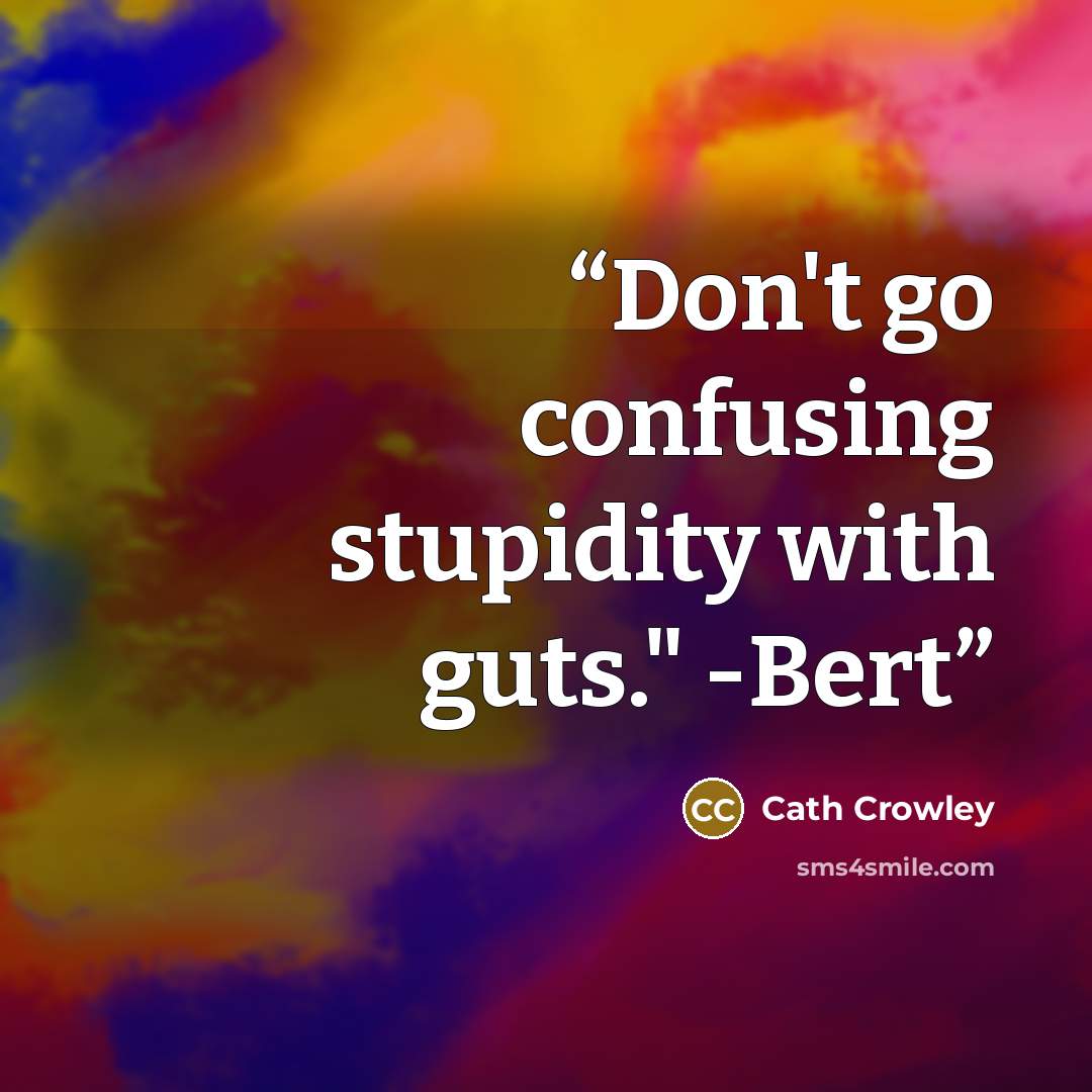 “Don't go confusing stupidity with guts." -Bert” quote by Cath Crowley