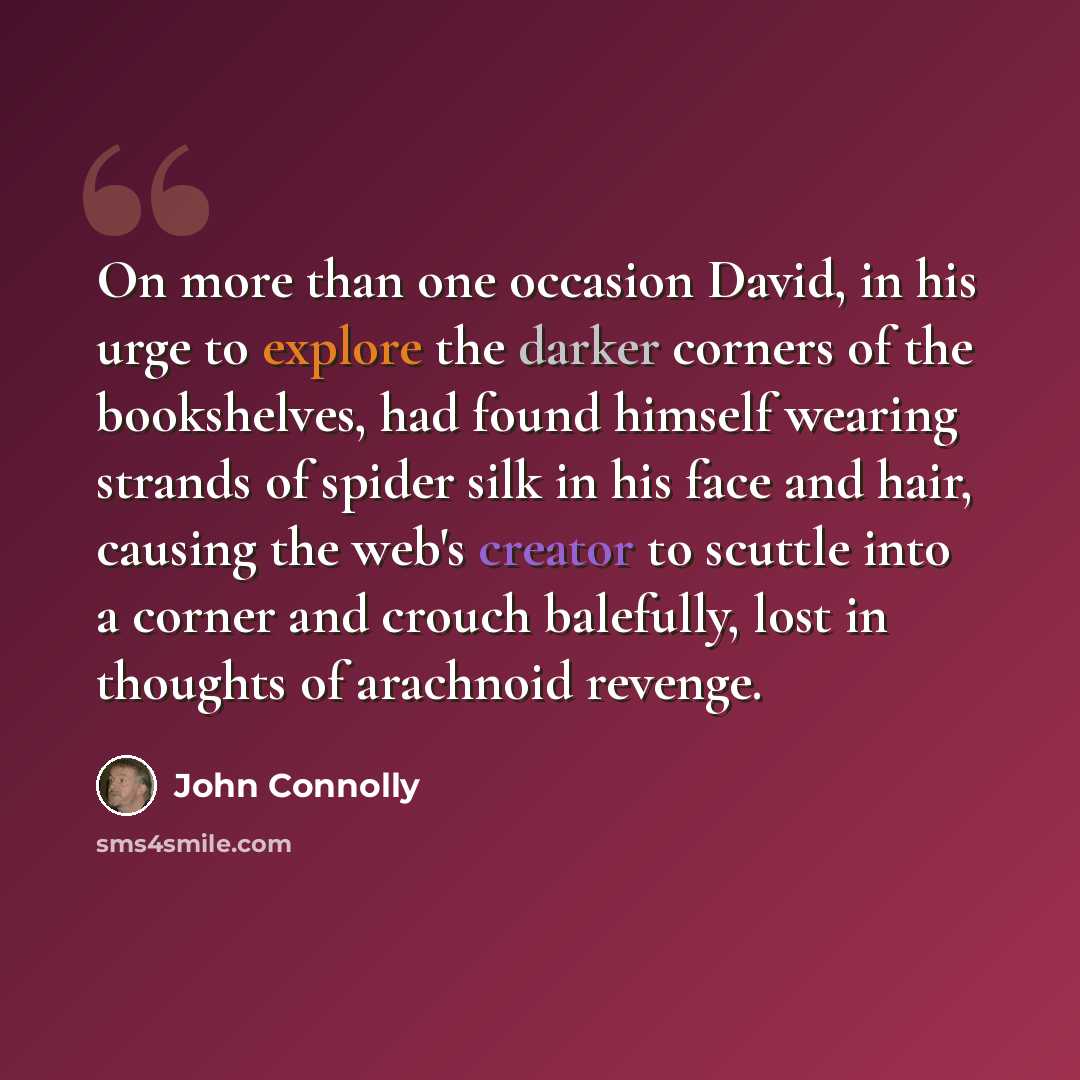 “On more than one occasion David, in his urge to explore the darker corners of the bookshelves, had found himself wearing strands of spider silk in his face and hair, causing the web's creator to scuttle into a corner and crouch balefully, lost in thoughts of arachnoid revenge.” quote by John Connolly