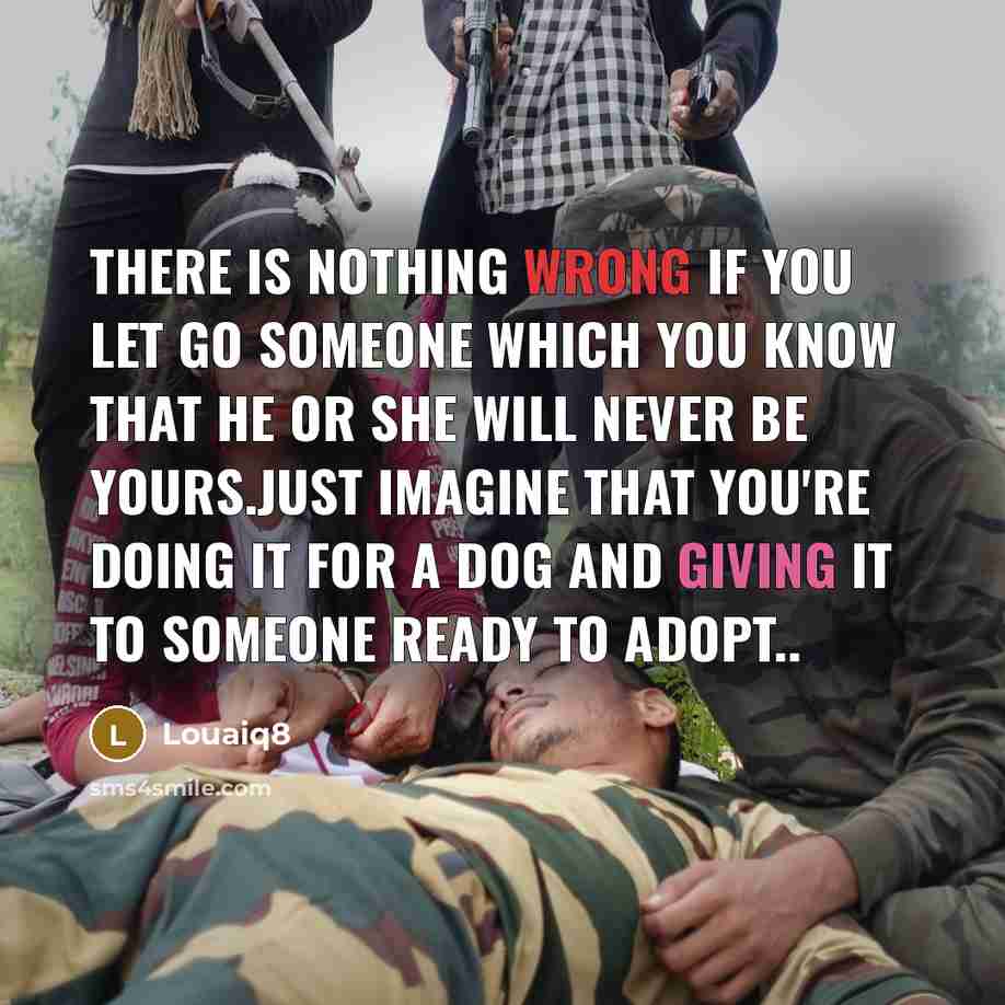 “There is nothing wrong if you let go someone which you know that he or she will never be yours.Just imagine that you're doing it for a dog and giving it to someone ready to adopt..” quote by Louaiq8