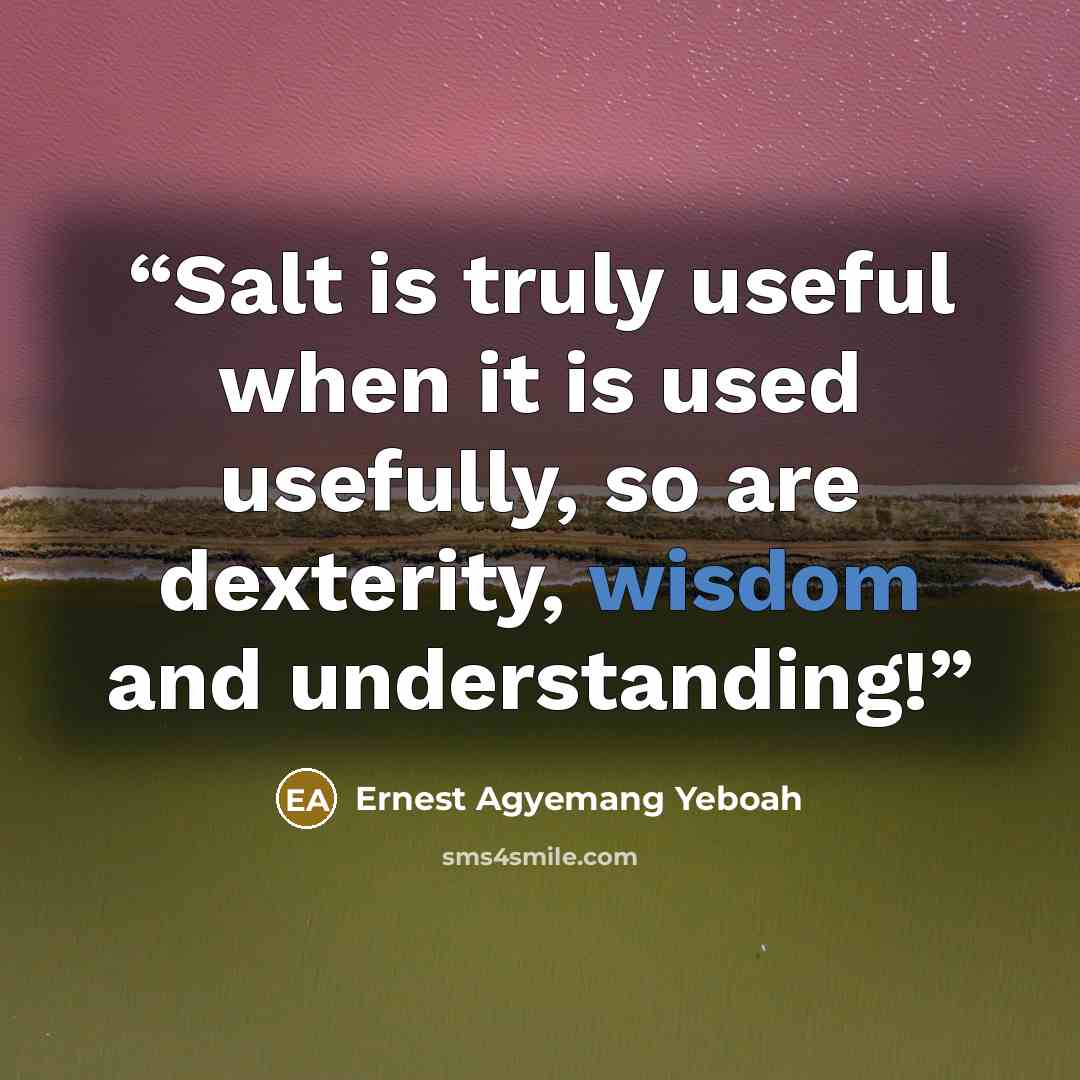 “Salt is truly useful when it is used usefully, so are dexterity, wisdom and understanding!” quote by Ernest Agyemang Yeboah