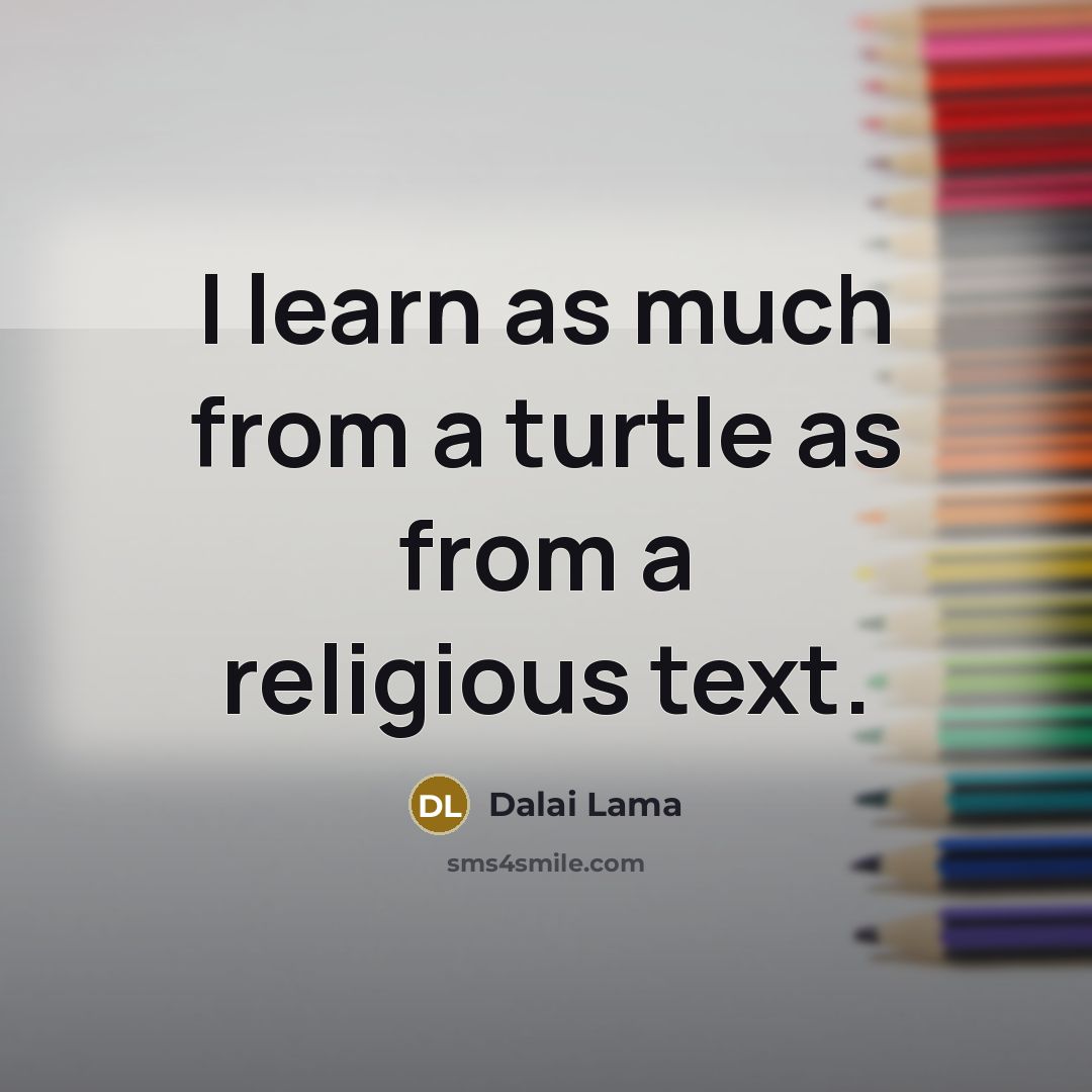 “I learn as much from a turtle as from a religious text.” quote by Dalai Lama