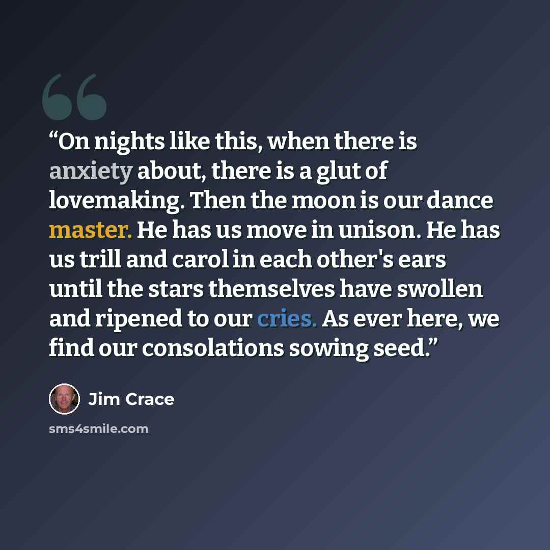 “On nights like this, when there is anxiety about, there is a glut of lovemaking. Then the moon is our dance master. He has us move in unison. He has us trill and carol in each other's ears until the stars themselves have swollen and ripened to our cries. As ever here, we find our consolations…” quote by Jim Crace