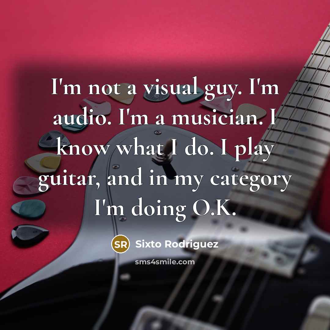“I'm not a visual guy. I'm audio. I'm a musician. I know what I do. I play guitar, and in my category I'm doing O.K.” quote by Sixto Rodriguez