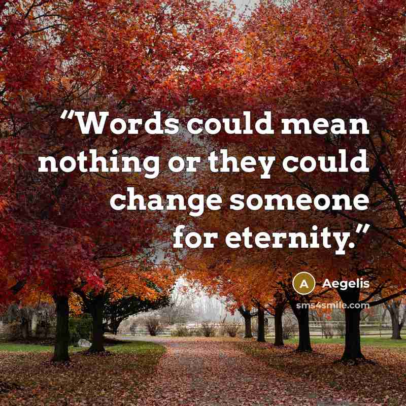 “Words could mean nothing or they could change someone for eternity.” quote by Aegelis