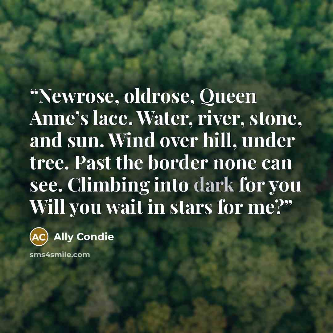 “Newrose, oldrose, Queen Anne’s lace. Water, river, stone, and sun. Wind over hill, under tree. Past the border none can see. Climbing into dark for you Will you wait in stars for me?” quote by Ally Condie