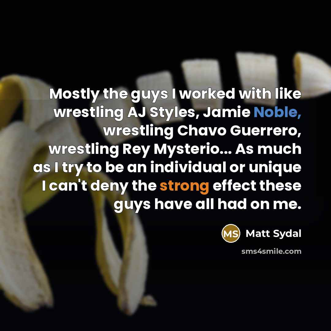 “Mostly the guys I worked with like wrestling AJ Styles, Jamie Noble, wrestling Chavo Guerrero, wrestling Rey Mysterio... As much as I try to be an individual or unique I can't deny the strong effect these guys have all had on me.” quote by Matt Sydal