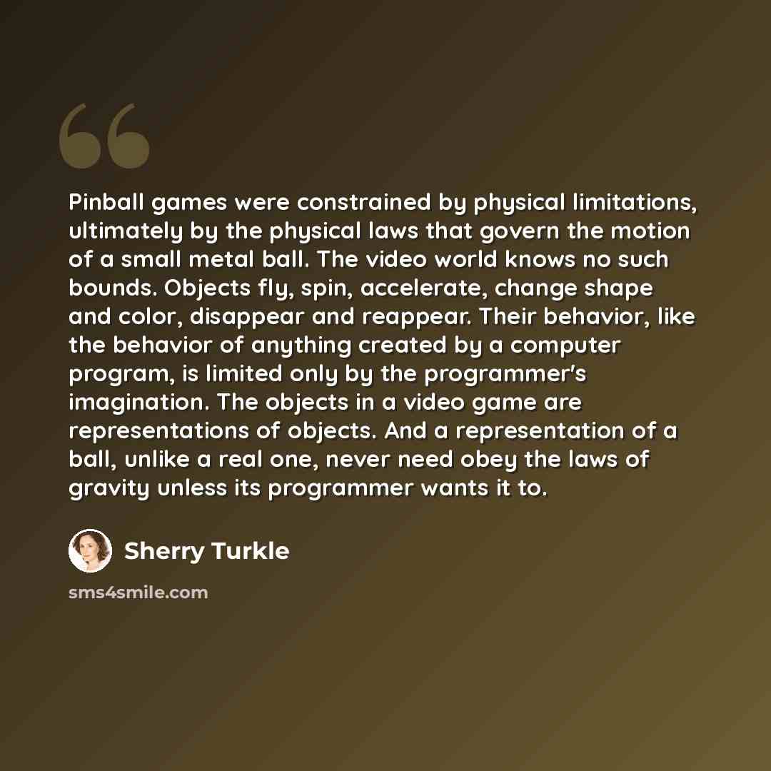 “Pinball games were constrained by physical limitations, ultimately by the physical laws that govern the motion of a small metal ball. The video world knows no such bounds. Objects fly, spin, accelerate, change shape and color, disappear and reappear. Their behavior, like the behavior of anything…” quote by Sherry Turkle