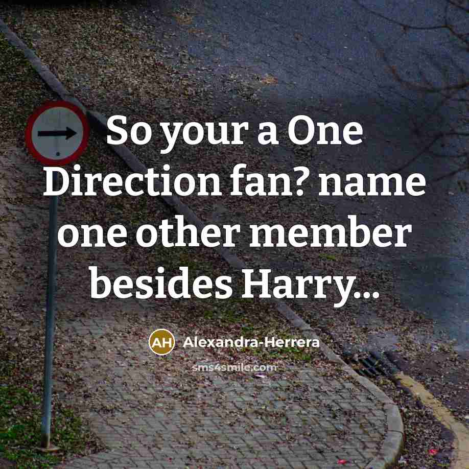 “So your a One Direction fan? name one other member besides Harry...” quote by Alexandra-Herrera